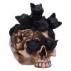 Cranial Litter 14cm Cats Gifts Under £100