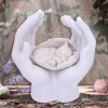 Forever Feline 18cm Cats September Flash Sale 2024 | Incense and Tealights