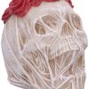 The Veil (Large) 14.7cm Skulls Gifts Under £100