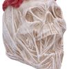 The Veil (Small) 11.5cm Skulls Gifts Under £100