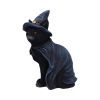 Bewitching 18.5cm Cats Halloween Highlights Figurines