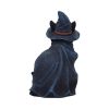 Bewitching 18.5cm Cats Halloween Highlights Figurines