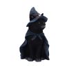 Bewitching 18.5cm Cats Halloween Highlights Figurines