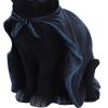 Bewitching 18.5cm Cats Halloween Highlights Figurines