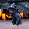 Bewitching 18.5cm Cats Halloween Highlights Figurines