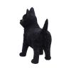 Charmed Companion 20cm Cats Stock Arrivals