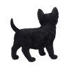 Charmed Companion 20cm Cats Stock Arrivals