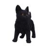 Charmed Companion 20cm Cats Stock Arrivals