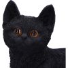 Charmed Companion 20cm Cats Stock Arrivals