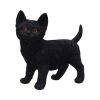 Charmed Companion 20cm Cats Stock Arrivals