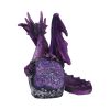 Guardian of the Geode 11.5cm Dragons Out Of Stock