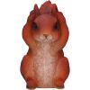 Three Wise Squirrels 9cm Animals Gifts Under £100