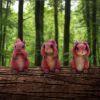 Three Wise Squirrels 9cm Animals Gifts Under £100