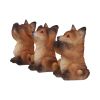 Three Wise Foxes 8.5cm Animals Gifts Under £100