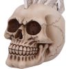Four of a Kind 19cm Skulls Out Of Stock