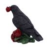 Rose of the Raven 14cm Ravens Gifts Under £100