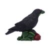 Rose of the Raven 14cm Ravens Gifts Under £100