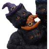 Familiar Friends 18cm Cats Gifts Under £100