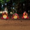 Three Wise Birds 9.8cm Animals Coming Soon