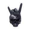 Horns Up 17.5cm Skulls New Arrivals