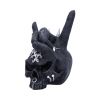 Horns Up 17.5cm Skulls New Arrivals