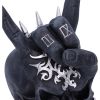 Horns Up 17.5cm Skulls New Arrivals