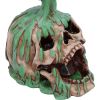 Fatal Elixir 19.2cm Skulls Stock Arrivals