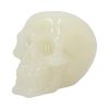 Phosphorescent (Medium) 13cm Skulls New Arrivals