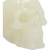 Phosphorescent (Medium) 13cm Skulls New Arrivals