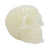 Phosphorescent (Medium) 13cm Skulls New Arrivals