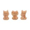 Three Wise Ginger Cats Cats Coming Soon