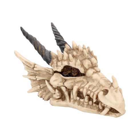 Dragon Skull Box 20cm Skulls Top 200 None Licensed