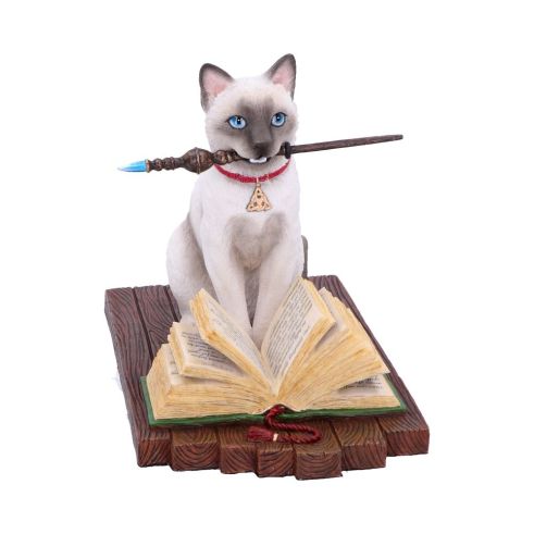 Hocus Pocus (LP) 16.8cm Cats Gifts Under £100