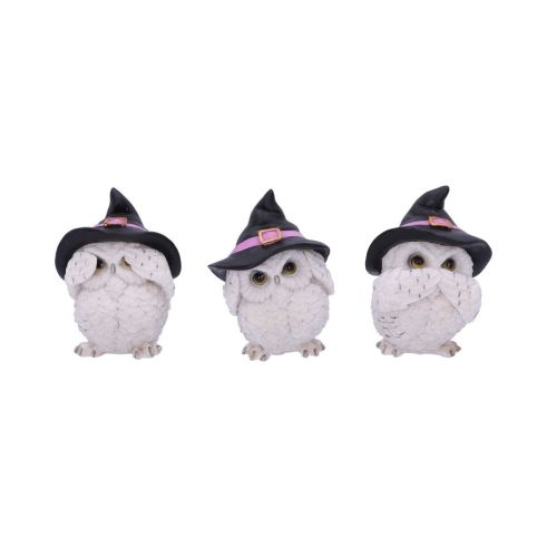 Three Wise Feathered Familiars 9cm Owls Out Of Stock