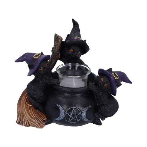 Familiar Cauldron 12.5cm Cats Gifts Under £100
