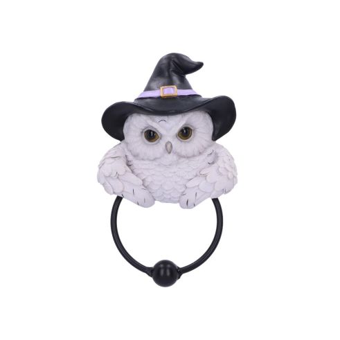 Snowy Magic Door Knocker 21cm Owls Summer Sale 2024