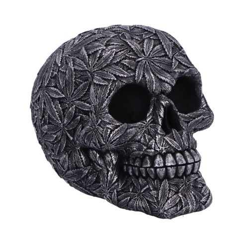 High Life 15.5cm Skulls New Arrivals