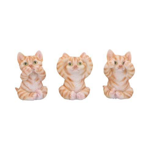 Three Wise Ginger Cats Cats Coming Soon