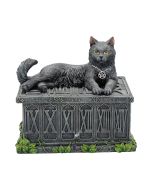 Fortune's Watcher Tarot Box 17cm Cats Top 200 None Licensed