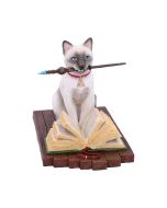 Hocus Pocus (LP) 16.8cm Cats Gifts Under £100