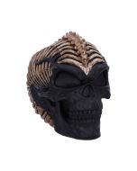 Spine Head Skull (JR) 18.5cm Skulls Gifts Under £100