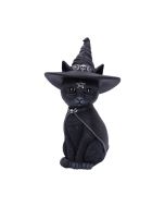 Purrah 30cm (Large) Cats Halloween Highlights Figurines