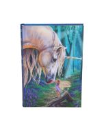 Fairy Whispers Journal (LP) 17cm Unicorns Summer Sale 2024