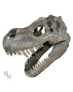 Tyrannosaurus Rex Skull Small 39.5cm B/strap Dinosaurs Gifts Under £100