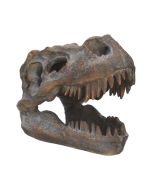 Tyrannosaurus Rex Skull Freestanding 16cm Dinosaurs Top 200 None Licensed