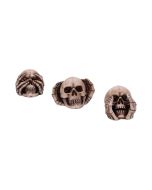 Three Wise Skulls 7.6cm Skulls Summer Sale 2024
