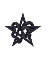 Serpent's Worship 24cm Witchcraft & Wiccan September Flash Sale 2024 | Gothic