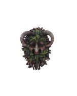 Spruce 20.8cm Tree Spirits Last Chance to Buy