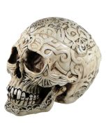 Celtic Skull Box 20cm Skulls Gifts Under £100