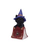 Hocus 12.7cm Cats RRP Under 10